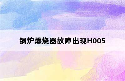 锅炉燃烧器故障出现H005