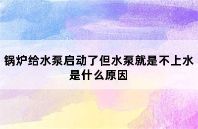 锅炉给水泵启动了但水泵就是不上水是什么原因