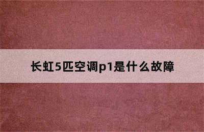 长虹5匹空调p1是什么故障