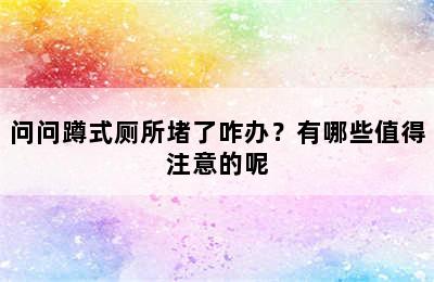 问问蹲式厕所堵了咋办？有哪些值得注意的呢