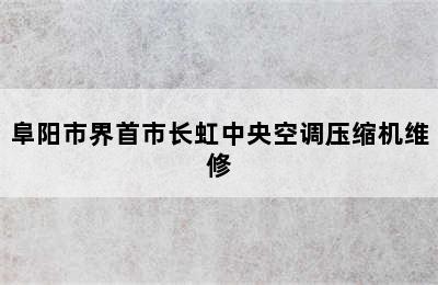 阜阳市界首市长虹中央空调压缩机维修