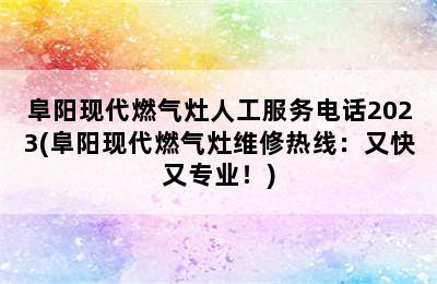 阜阳现代燃气灶人工服务电话2023(阜阳现代燃气灶维修热线：又快又专业！)