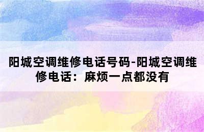 阳城空调维修电话号码-阳城空调维修电话：麻烦一点都没有