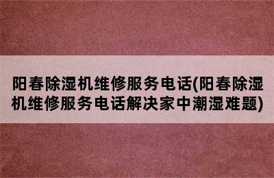 阳春除湿机维修服务电话(阳春除湿机维修服务电话解决家中潮湿难题)