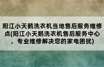 阳江小天鹅洗衣机当地售后服务维修点(阳江小天鹅洗衣机售后服务中心，专业维修解决您的家电困扰)