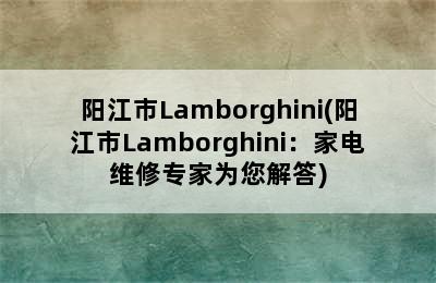 阳江市Lamborghini(阳江市Lamborghini：家电维修专家为您解答)