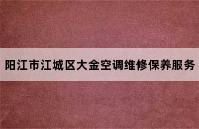 阳江市江城区大金空调维修保养服务