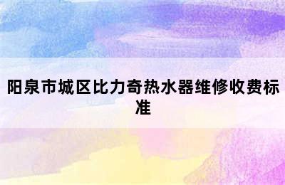 阳泉市城区比力奇热水器维修收费标准