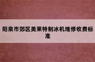 阳泉市郊区美莱特制冰机维修收费标准