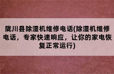 陇川县除湿机维修电话(除湿机维修电话，专家快速响应，让你的家电恢复正常运行)