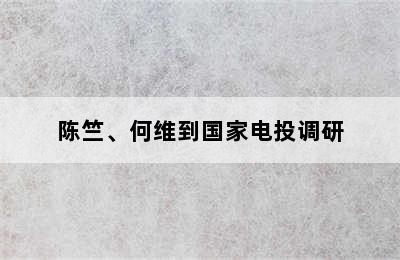 陈竺、何维到国家电投调研