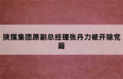 陕煤集团原副总经理张丹力被开除党籍