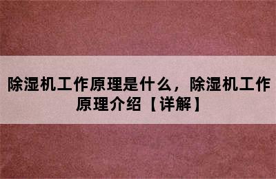 除湿机工作原理是什么，除湿机工作原理介绍【详解】