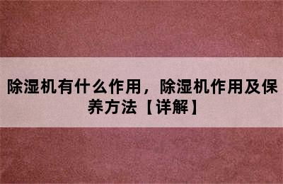 除湿机有什么作用，除湿机作用及保养方法【详解】