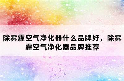 除雾霾空气净化器什么品牌好，除雾霾空气净化器品牌推荐