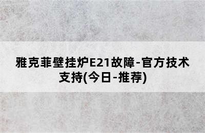 雅克菲壁挂炉E21故障-官方技术支持(今日-推荐)