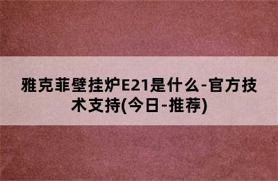 雅克菲壁挂炉E21是什么-官方技术支持(今日-推荐)