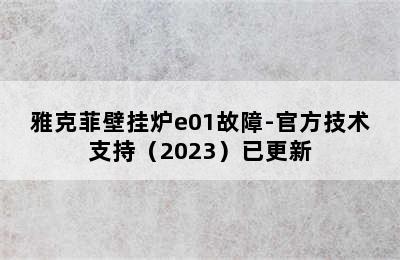 雅克菲壁挂炉e01故障-官方技术支持（2023）已更新