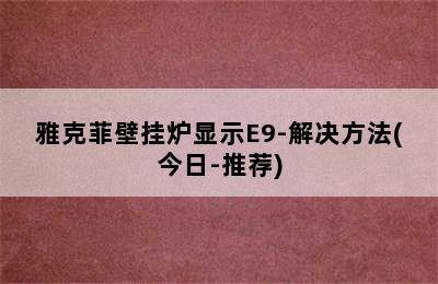 雅克菲壁挂炉显示E9-解决方法(今日-推荐)