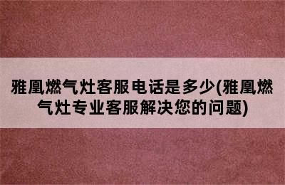 雅凰燃气灶客服电话是多少(雅凰燃气灶专业客服解决您的问题)