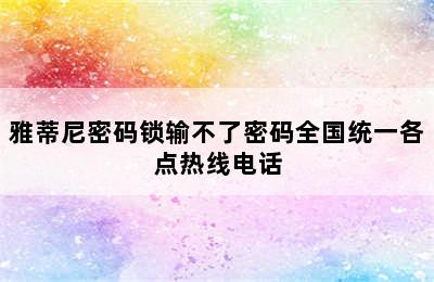 雅蒂尼密码锁输不了密码全国统一各点热线电话