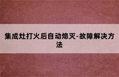 集成灶打火后自动熄灭-故障解决方法