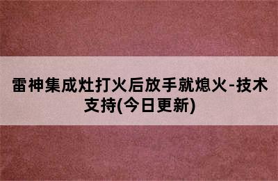 雷神集成灶打火后放手就熄火-技术支持(今日更新)