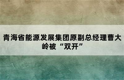 青海省能源发展集团原副总经理曹大岭被“双开”