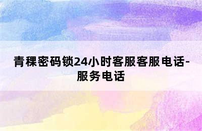 青稞密码锁24小时客服客服电话-服务电话