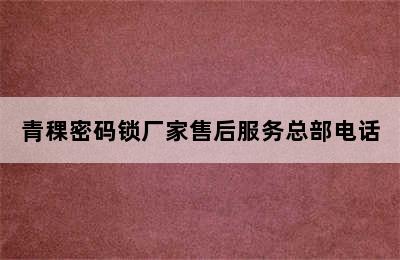 青稞密码锁厂家售后服务总部电话