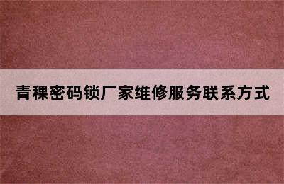 青稞密码锁厂家维修服务联系方式