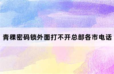 青稞密码锁外面打不开总部各市电话