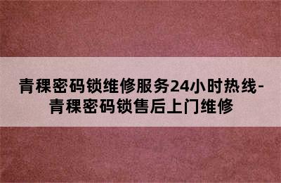 青稞密码锁维修服务24小时热线-青稞密码锁售后上门维修