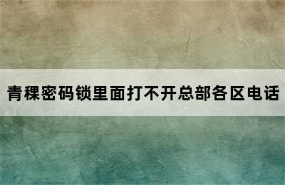 青稞密码锁里面打不开总部各区电话