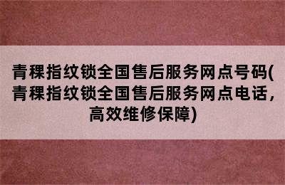 青稞指纹锁全国售后服务网点号码(青稞指纹锁全国售后服务网点电话，高效维修保障)