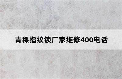 青稞指纹锁厂家维修400电话