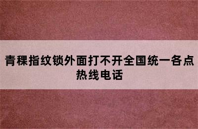 青稞指纹锁外面打不开全国统一各点热线电话