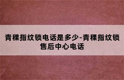 青稞指纹锁电话是多少-青稞指纹锁售后中心电话