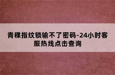 青稞指纹锁输不了密码-24小时客服热线点击查询