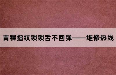 青稞指纹锁锁舌不回弹——维修热线