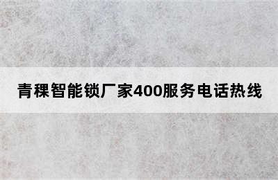 青稞智能锁厂家400服务电话热线