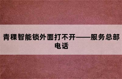 青稞智能锁外面打不开——服务总部电话