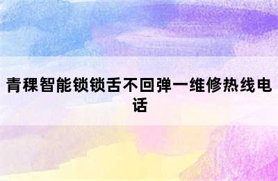 青稞智能锁锁舌不回弹一维修热线电话