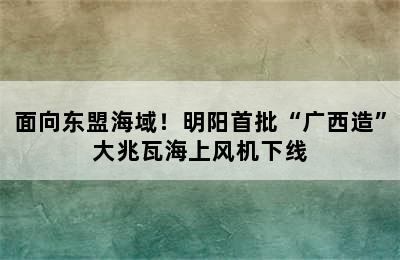 面向东盟海域！明阳首批“广西造”大兆瓦海上风机下线