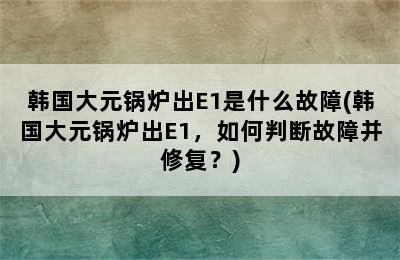 韩国大元锅炉出E1是什么故障(韩国大元锅炉出E1，如何判断故障并修复？)