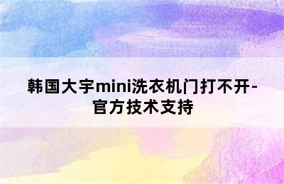 韩国大宇mini洗衣机门打不开-官方技术支持