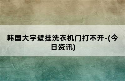 韩国大宇壁挂洗衣机门打不开-(今日资讯)