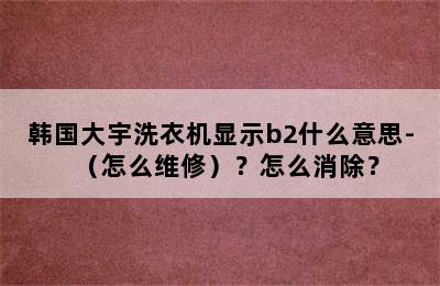 韩国大宇洗衣机显示b2什么意思-（怎么维修）？怎么消除？