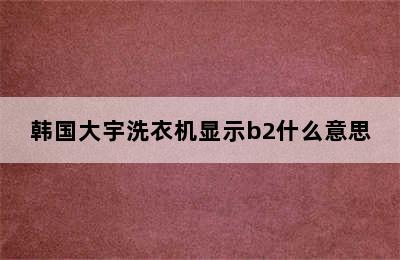 韩国大宇洗衣机显示b2什么意思