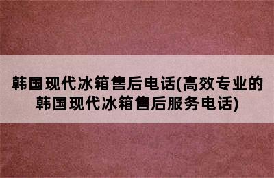 韩国现代冰箱售后电话(高效专业的韩国现代冰箱售后服务电话)